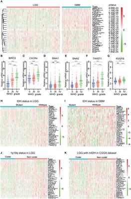 Genomics and Prognosis Analysis of Epithelial-Mesenchymal Transition in Glioma